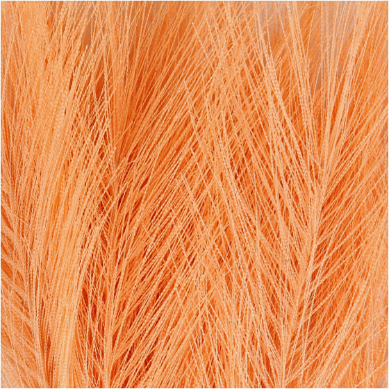 Kunstveren Oranje, 10st.