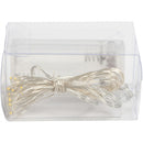 lichtsnoer 20 lampjes zilver LED 3,15m