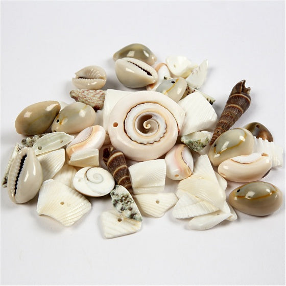 strand schelpen kralen 9 - 40 mm