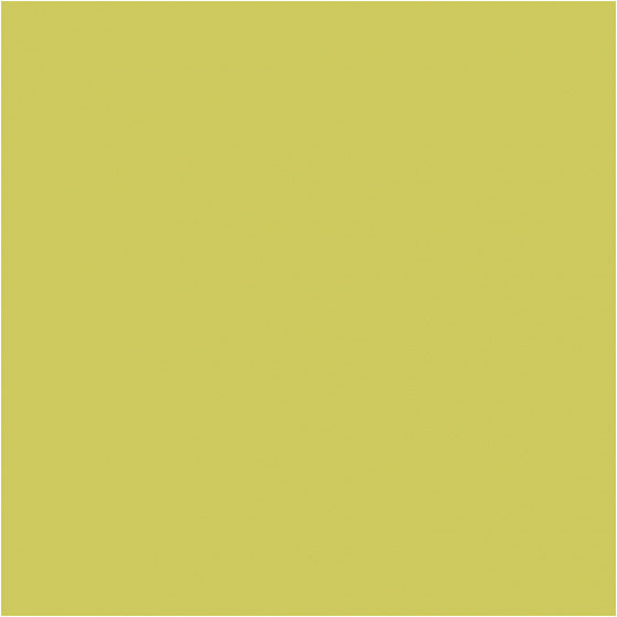 Textile Color Dekkende Textielverf - Kiwi, 50ml