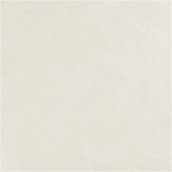 tissuepapier 50 x 70 cm parelmoer 6 stuks