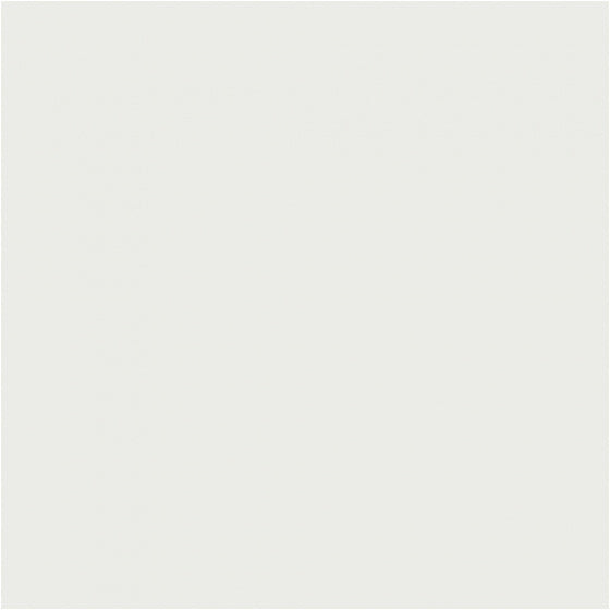 tissuepapier 50 x 70 cm wit 10 stuks