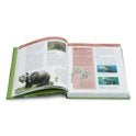 educatief boek De grote junior dierenencyclopedie