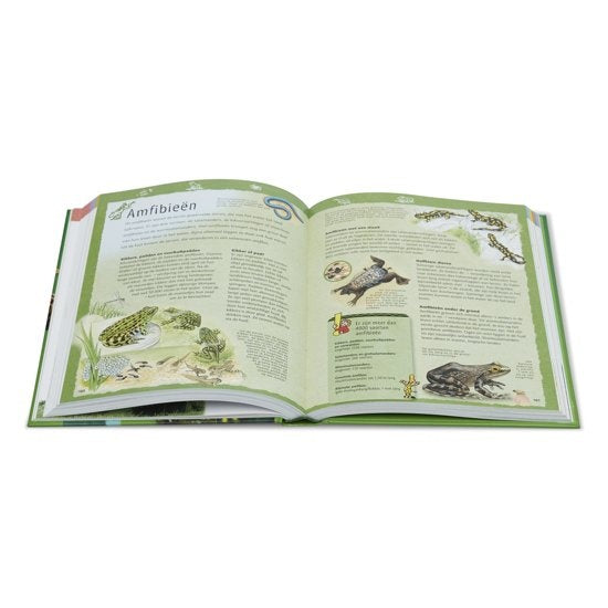 educatief boek De grote junior dierenencyclopedie
