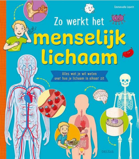 Zo werkt het Menselijk Lichaam