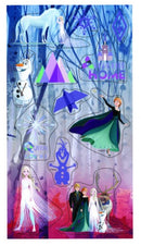 stickers Frozen II Home meisjes 21 x 10 cm papier/foam