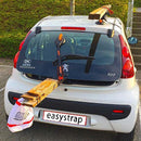 easystrap Strap + hook