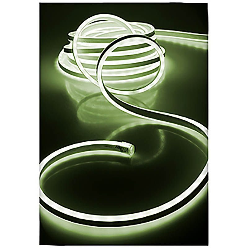 LED Neonlight 10 meter wit