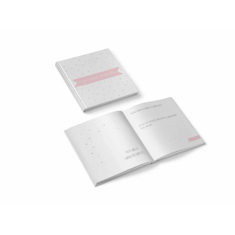 Mijn negen maanden invulboek BLUSH