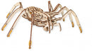 modelbouwpakket Spider 35 x 10 cm hout 293-delig