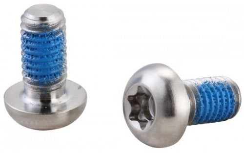 Remschijfboutjes Elvedes M5 × 11 RVS (10 stuks)