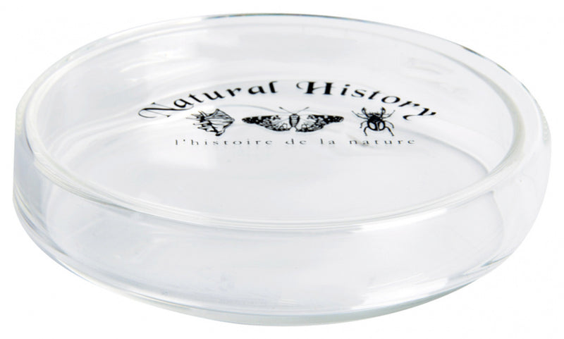 petrischaal 11 x 2,4 cm glas transparant