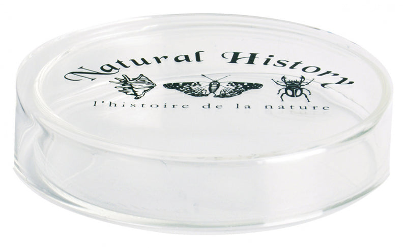 petrischaal 8,4 x 1,9 cm glas transparant