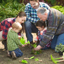 handschep junior 21 cm hout naturel/groen