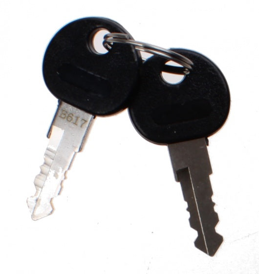 kabelslot 12 x 650 mm staal/kunststof blauw