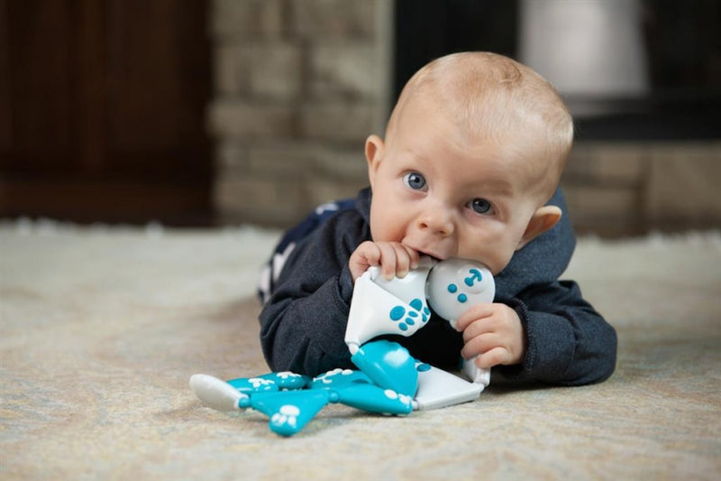 bijtring beer twistimal 12 cm