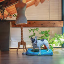 FERPLAST HONDENKUSSEN POLO WATERPROOF BRUIN 65X40X8 CM