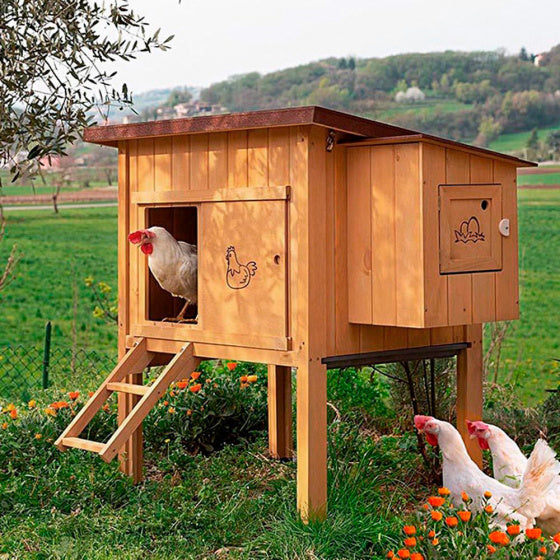 FERPLAST KIPPENHOK HEN HOUSE 30 BRUIN 162X100X110 CM