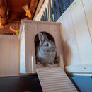 FERPLAST KONIJNENHOK COTTAGE 129X68X103,5 CM