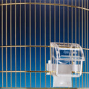 FPI 4503 VOERBAKJE TRANSPARANT