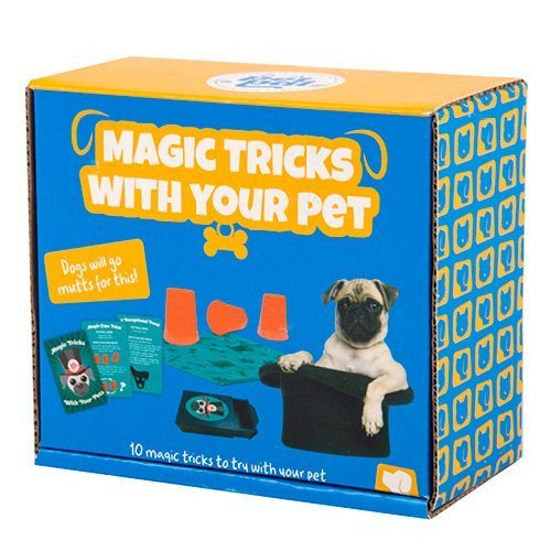 feestspel Magic Tricks karton blauw 15-delig