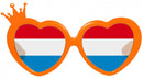 Bril Hart Oranje
