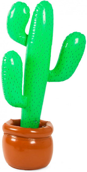 Opblaasbare Cactus in Pot