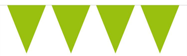 Limegroene Mini Vlaggenlijn, 3mtr.
