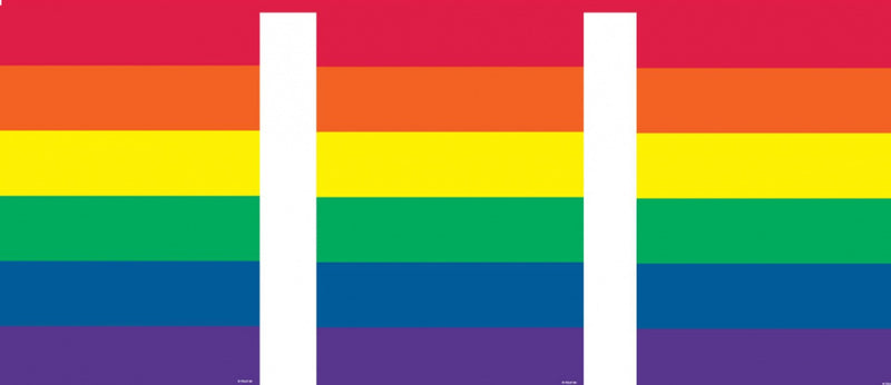 Regenboog Vlaggenlijn, 10mtr.