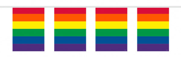Regenboog Vlaggenlijn, 10mtr.
