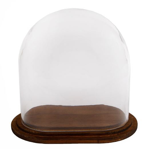 Glazen Stolp Ovaal met Houten onderblad, 20cm