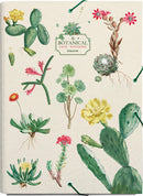 elasto-/foldermap Botanical A4 34 x 24 karton crème