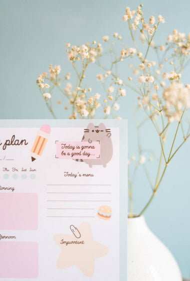 familieplanner Pusheen A5 papier groen/wit 54 vellen