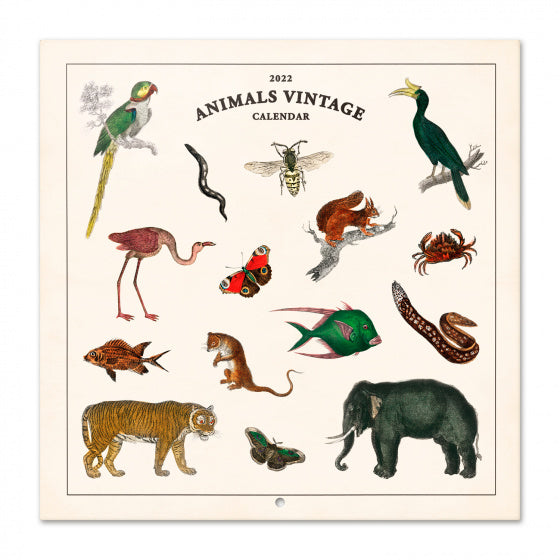 wandkalender 2022 Animals 30 x 30 cm papier