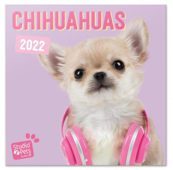 wandkalender 2022 Chihuahuas 30 x 30 cm papier paars