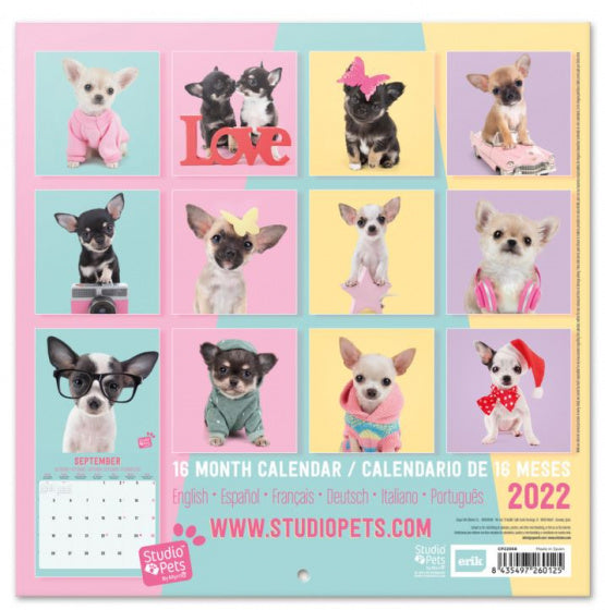 wandkalender 2022 Chihuahuas 30 x 30 cm papier paars