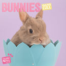 wandkalender 2022 Bunnies 30 x 30 cm papier roze