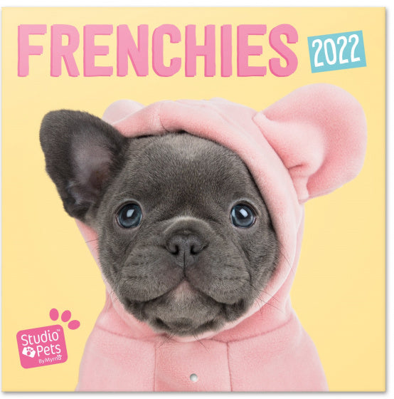 wandkalender 2022 Frenchies 30 x 30 cm papier geel