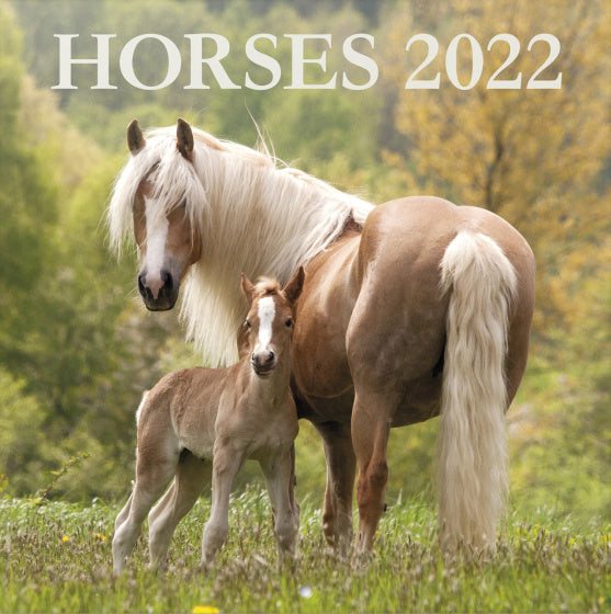 wandkalender 2022 Horses 30 x 30 cm papier groen