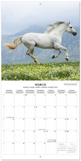 wandkalender 2022 Horses 30 x 30 cm papier groen
