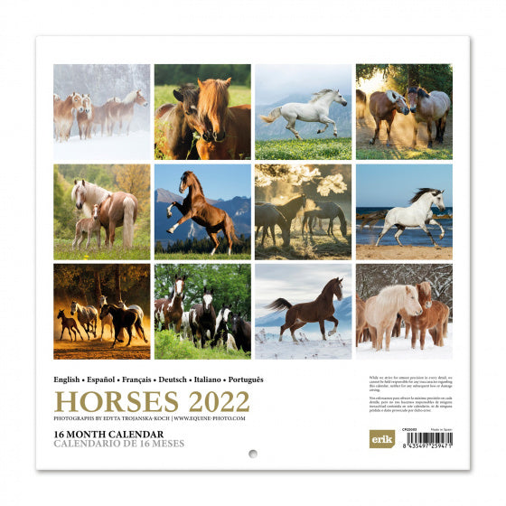 wandkalender 2022 Horses 30 x 30 cm papier groen