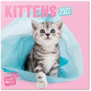 wandkalender 2022 Kittens 30 x 30 cm papier roze