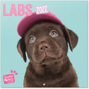 wandkalender 2022 Labs 30 x 30 cm papier turquoise