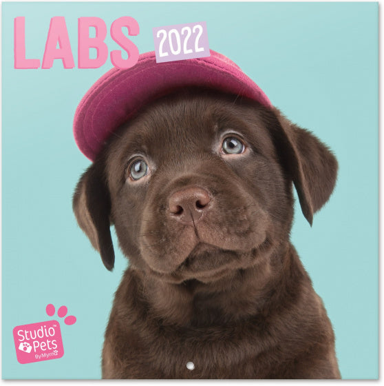 wandkalender 2022 Labs 30 x 30 cm papier turquoise
