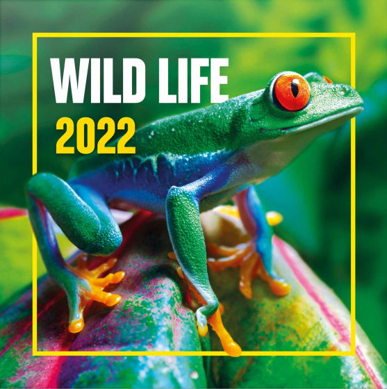 wandkalender 2022 Wildlife 30 x 30 cm papier groen