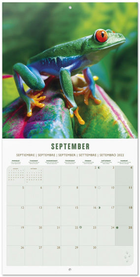 wandkalender 2022 Wildlife 30 x 30 cm papier groen