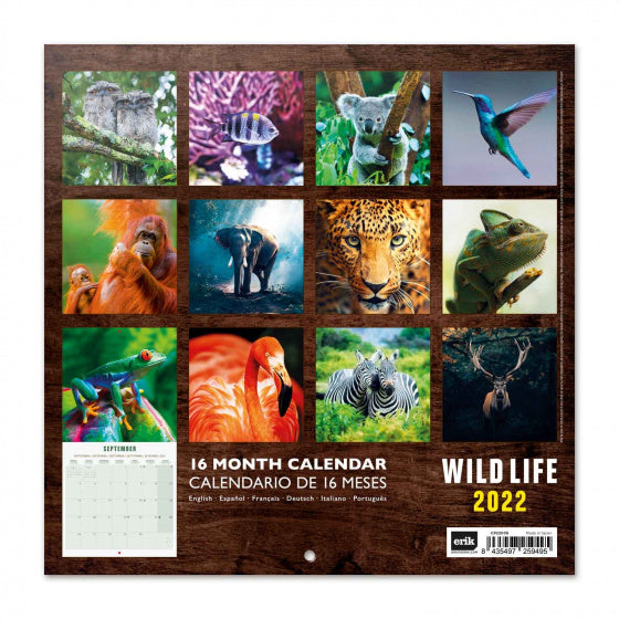 wandkalender 2022 Wildlife 30 x 30 cm papier groen
