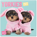 wandkalender 2022 Yorkies 30 x 30 cm turquoise