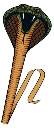 eenlijnsvlieger Cobra 69 x 400 cm bruin/groen