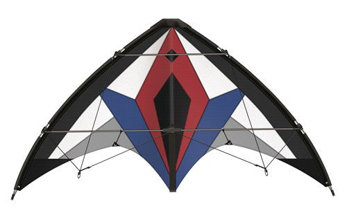 vlieger Flexus 150 GX 150 x 65 cm polyester